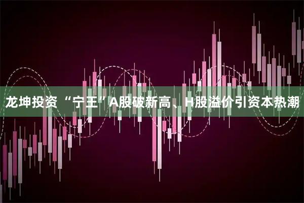 龙坤投资 “宁王”A股破新高、H股溢价引资本热潮