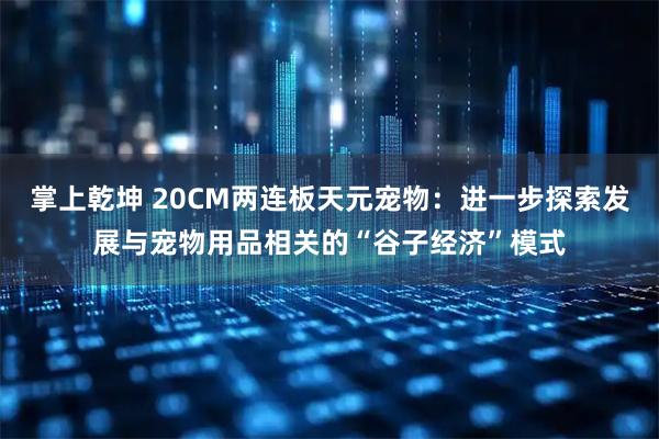 掌上乾坤 20CM两连板天元宠物：进一步探索发展与宠物用品相关的“谷子经济”模式