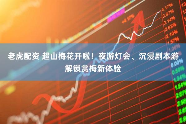 老虎配资 超山梅花开啦!夜游灯会、沉浸剧本游解锁赏梅新体验