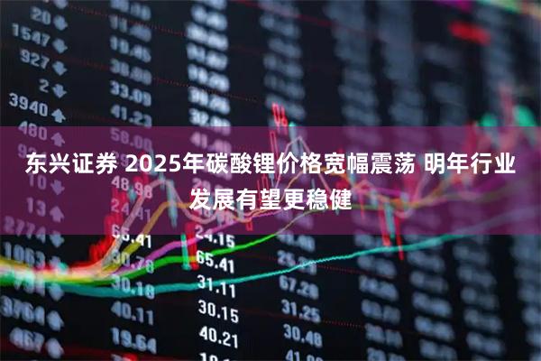 东兴证券 2025年碳酸锂价格宽幅震荡 明年行业发展有望更稳健