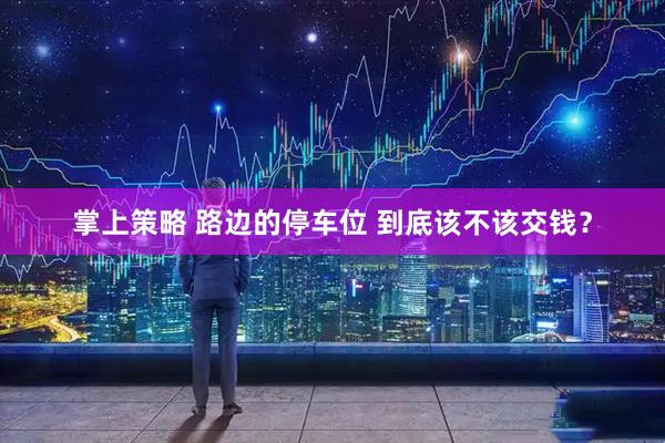 掌上策略 路边的停车位 到底该不该交钱?